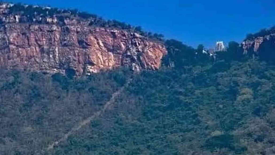 తిరుమల 300 టిక్కెట్లు | తిరుమల శ్రీవారి జనవరి నెల ప్రత్యేక దర్శన టిక్కెట్లు విడుదల
